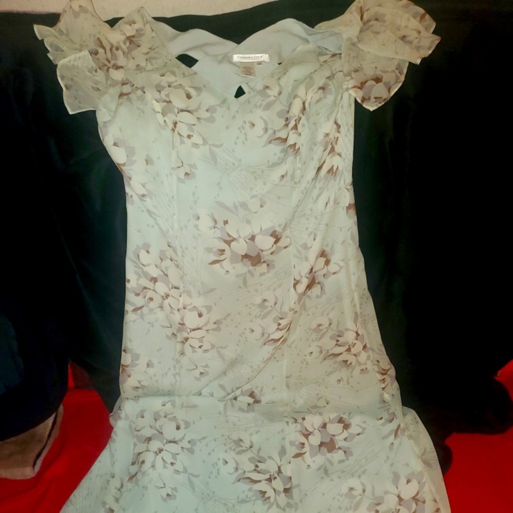 Sleeveless, floral, sheer, & Silk dress